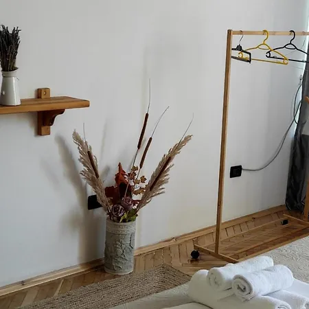 アパート Center Rustic Retreat ティラナ