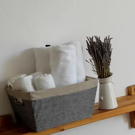 Center Rustic Retreat Appartamento *